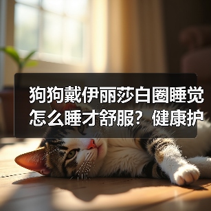狗狗戴伊丽莎白圈睡觉怎么睡才舒服?健康护理全指南(图4) 狗狗戴伊丽莎白圈睡觉怎么睡才舒服?健康护理全指南(图4)