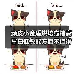 顽皮小金盾烘焙猫粮高蛋白低敏配方值不值得?(图1) 顽皮小金盾烘焙猫粮高蛋白低敏配方值不值得?(图1)