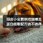 顽皮小金盾烘焙猫粮高蛋白低敏配方值不值得?(图4) 顽皮小金盾烘焙猫粮高蛋白低敏配方值不值得?(图4)