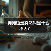 狗狗睡觉突然叫是什么原因?(图3) 狗狗睡觉突然叫是什么原因?(图3)