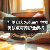 加纳利犬怎么养?性格优缺点与养护全解析(图1) 加纳利犬怎么养?性格优缺点与养护全解析(图1)