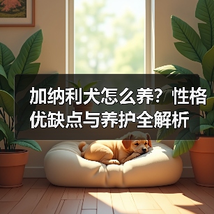 加纳利犬怎么养?性格优缺点与养护全解析(图3) 加纳利犬怎么养?性格优缺点与养护全解析(图3)