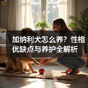 加纳利犬怎么养?性格优缺点与养护全解析(图2) 加纳利犬怎么养?性格优缺点与养护全解析(图2)