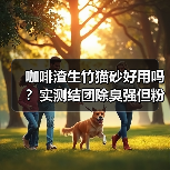 咖啡渣生竹猫砂好用吗？实测结团除臭强但粉尘多