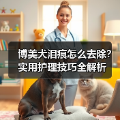 博美犬泪痕怎么去除?实用护理技巧全解析(图4) 博美犬泪痕怎么去除?实用护理技巧全解析(图4)