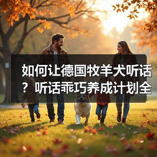 如何让德国牧羊犬听话?听话乖巧养成计划全解析(图2) 如何让德国牧羊犬听话?听话乖巧养成计划全解析(图2)