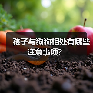 孩子与狗狗相处有哪些注意事项?(图4) 孩子与狗狗相处有哪些注意事项?(图4)