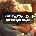 银狐犬乱吃怎么办?科学饮食管理防疾病(图3) 银狐犬乱吃怎么办?科学饮食管理防疾病(图3)