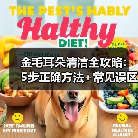 金毛耳朵清洁全攻略:5步正确方法+常见误区避雷(图1) 金毛耳朵清洁全攻略:5步正确方法+常见误区避雷(图1)