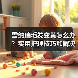 雪纳瑞毛发变黄怎么办?实用护理技巧和解决方法推荐(图1) 雪纳瑞毛发变黄怎么办?实用护理技巧和解决方法推荐(图1)