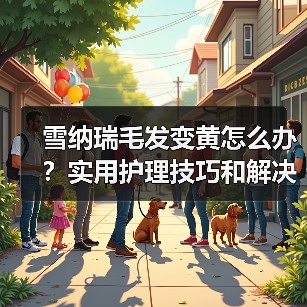 雪纳瑞毛发变黄怎么办?实用护理技巧和解决方法推荐(图3) 雪纳瑞毛发变黄怎么办?实用护理技巧和解决方法推荐(图3)