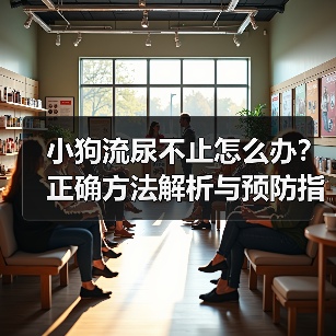 小狗流尿不止怎么办?正确方法解析与预防指南(图1) 小狗流尿不止怎么办?正确方法解析与预防指南(图1)