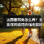 法国垂耳兔怎么养?全面保姆级饲养指南解析(图2) 法国垂耳兔怎么养?全面保姆级饲养指南解析(图2)