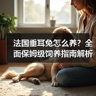 法国垂耳兔怎么养?全面保姆级饲养指南解析(图3) 法国垂耳兔怎么养?全面保姆级饲养指南解析(图3)