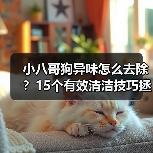 小八哥狗异味怎么去除？15个有效清洁技巧拯救宠物与主人的相处体验（图2）