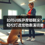 如何训练萨摩耶翻滚？轻松打造宠物表演明星（图1）