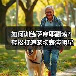 如何训练萨摩耶翻滚？轻松打造宠物表演明星（图4）