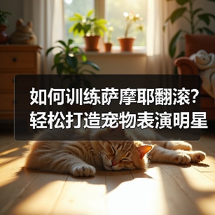 如何训练萨摩耶翻滚？轻松打造宠物表演明星（图2）