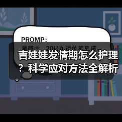 吉娃娃发情期怎么护理?科学应对方法全解析(图3) 吉娃娃发情期怎么护理?科学应对方法全解析(图3)