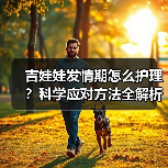 吉娃娃发情期怎么护理?科学应对方法全解析(图4) 吉娃娃发情期怎么护理?科学应对方法全解析(图4)