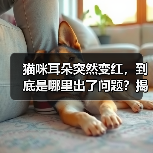 猫咪耳朵突然变红,到底是哪里出了问题?揭秘常见原因与应对方法(图1) 猫咪耳朵突然变红,到底是哪里出了问题?揭秘常见原因与应对方法(图1)
