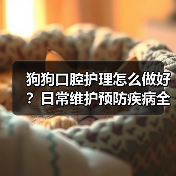 狗狗口腔护理怎么做好?日常维护预防疾病全指南(图3) 狗狗口腔护理怎么做好?日常维护预防疾病全指南(图3)