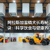 阿拉斯加雪橇犬长寿秘诀:科学饮食与健康养护全指南(图2) 阿拉斯加雪橇犬长寿秘诀:科学饮食与健康养护全指南(图2)