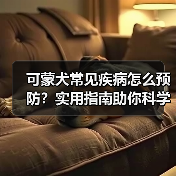 可蒙犬常见疾病怎么预防?实用指南助你科学养宠(图3) 可蒙犬常见疾病怎么预防?实用指南助你科学养宠(图3)