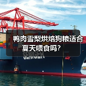 鸭肉雪梨烘焙狗粮适合夏天喂食吗?(图3) 鸭肉雪梨烘焙狗粮适合夏天喂食吗?(图3)