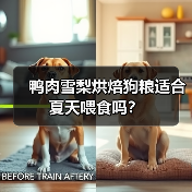 鸭肉雪梨烘焙狗粮适合夏天喂食吗?(图1) 鸭肉雪梨烘焙狗粮适合夏天喂食吗?(图1)