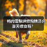 鸭肉雪梨烘焙狗粮适合夏天喂食吗?(图4) 鸭肉雪梨烘焙狗粮适合夏天喂食吗?(图4)