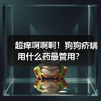 超痒啊啊啊!狗狗疥螨用什么药最管用?(图1) 超痒啊啊啊!狗狗疥螨用什么药最管用?(图1)