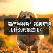 超痒啊啊啊!狗狗疥螨用什么药最管用?(图3) 超痒啊啊啊!狗狗疥螨用什么药最管用?(图3)