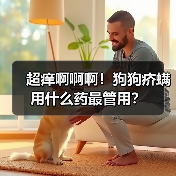 超痒啊啊啊!狗狗疥螨用什么药最管用?(图4) 超痒啊啊啊!狗狗疥螨用什么药最管用?(图4)