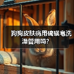 狗狗皮肤病用硫磺皂洗澡管用吗?(图4) 狗狗皮肤病用硫磺皂洗澡管用吗?(图4)
