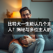 比特犬一生能认几个主人?揭秘与多位主人的情感纽带(图3) 比特犬一生能认几个主人?揭秘与多位主人的情感纽带(图3)