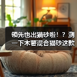 领先也出猫砂啦！？测一下木薯混合猫砂这款