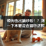 领先也出猫砂啦!?测一下木薯混合猫砂这款(图4) 领先也出猫砂啦!?测一下木薯混合猫砂这款(图4)