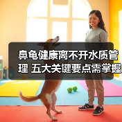 鼻龟健康离不开水质管理 五大关键要点需掌握(图3) 鼻龟健康离不开水质管理 五大关键要点需掌握(图3)