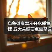 鼻龟健康离不开水质管理 五大关键要点需掌握(图1) 鼻龟健康离不开水质管理 五大关键要点需掌握(图1)