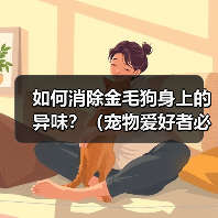 如何消除金毛狗身上的异味?(宠物爱好者必看!金毛狗身上异味的原因和解决方法)(图1) 如何消除金毛狗身上的异味?(宠物爱好者必看!金毛狗身上异味的原因和解决方法)(图1)
