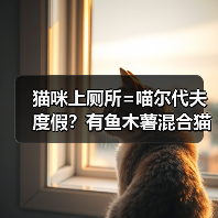 猫咪上厕所=喵尔代夫度假？有鱼木薯混合猫砂测评（图3）