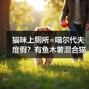 猫咪上厕所=喵尔代夫度假？有鱼木薯混合猫砂测评（图2）