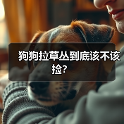 狗狗拉草丛到底该不该捡?(图1) 狗狗拉草丛到底该不该捡?(图1)
