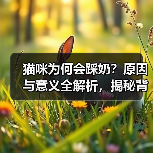猫咪为何会踩奶?原因与意义全解析,揭秘背后真相(图2) 猫咪为何会踩奶?原因与意义全解析,揭秘背后真相(图2)