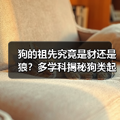狗的祖先究竟是豺还是狼?多学科揭秘狗类起源真相(图2) 狗的祖先究竟是豺还是狼?多学科揭秘狗类起源真相(图2)