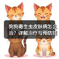 狗狗寄生虫皮肤病怎么治?详解治疗与预防技巧(图2) 狗狗寄生虫皮肤病怎么治?详解治疗与预防技巧(图2)