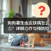 狗狗寄生虫皮肤病怎么治?详解治疗与预防技巧(图1) 狗狗寄生虫皮肤病怎么治?详解治疗与预防技巧(图1)