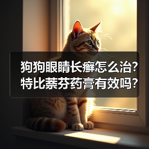 狗狗眼睛长癣怎么治?特比萘芬药膏有效吗?(图2) 狗狗眼睛长癣怎么治?特比萘芬药膏有效吗?(图2)