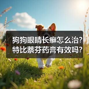 狗狗眼睛长癣怎么治?特比萘芬药膏有效吗?(图1) 狗狗眼睛长癣怎么治?特比萘芬药膏有效吗?(图1)